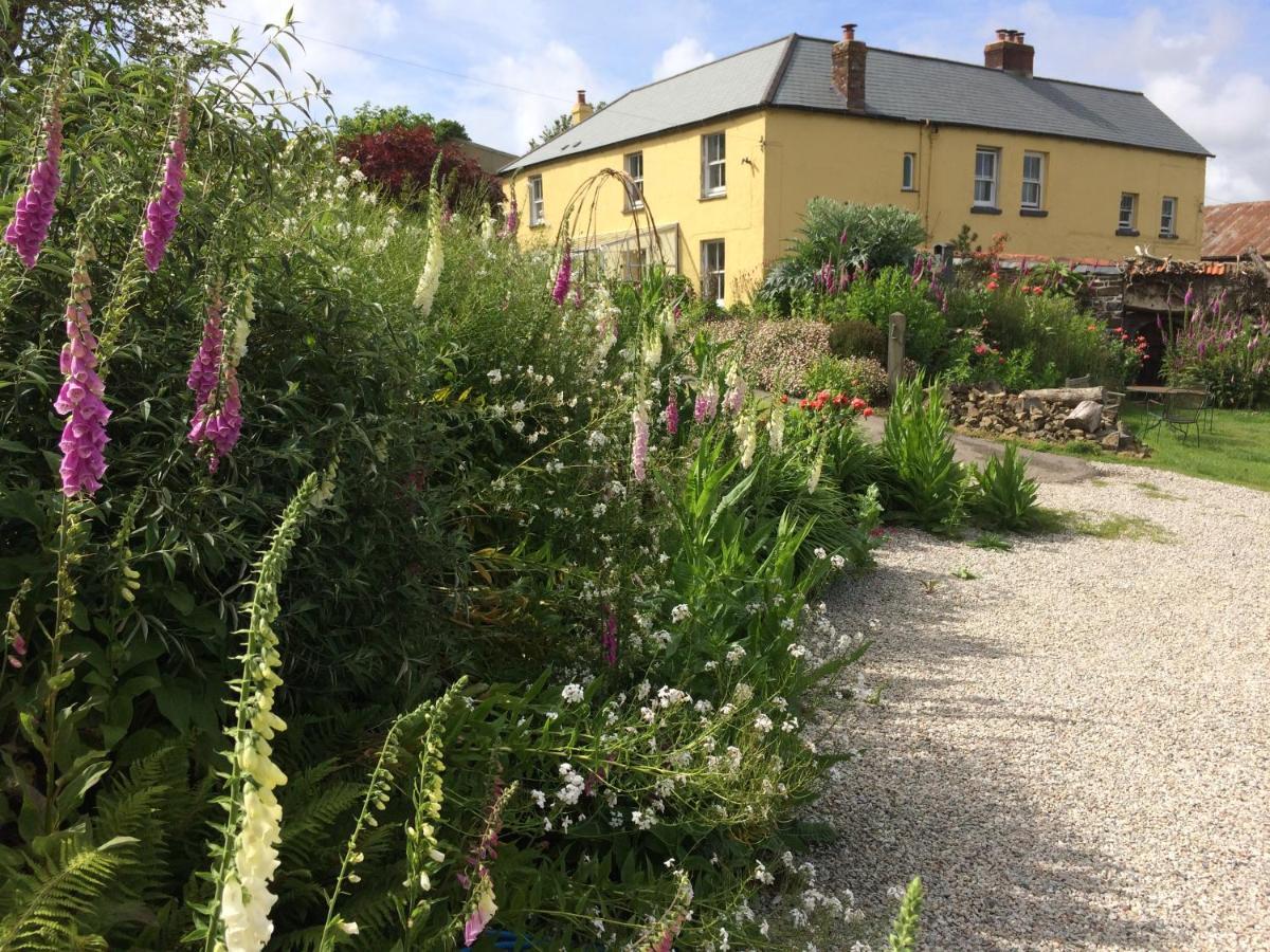 Frizenham Farmhouse Little Torrington Buitenkant foto