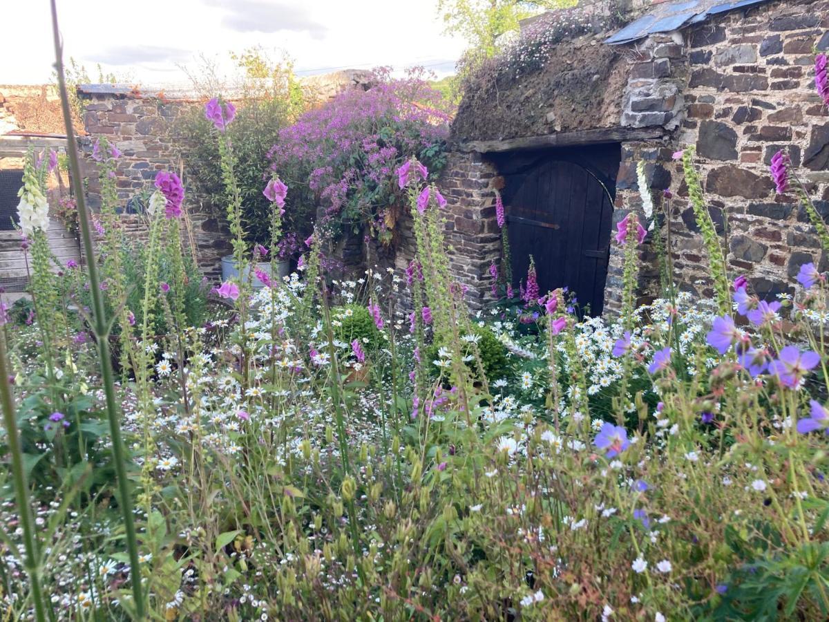Frizenham Farmhouse Little Torrington Buitenkant foto